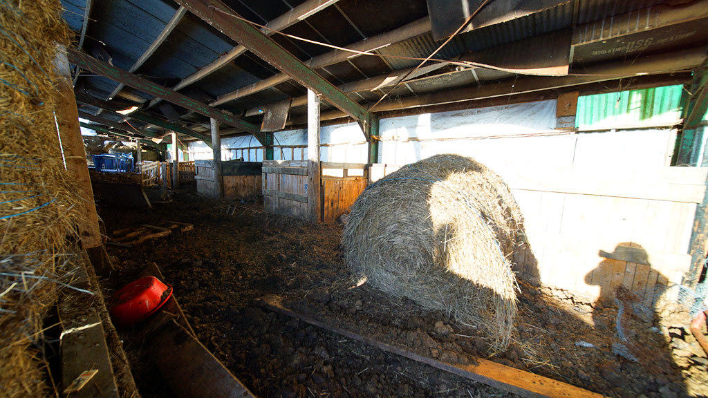 979 Dyer Brook Road Dyer Brook, ME 04747 - Photo 39 of 70 dyer-brook-me-farm-winter-6