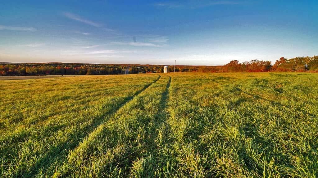 979 Dyer Brook Road Dyer Brook, ME 04747 - Photo 4 of 70 maine-farm-dyer-brook-19