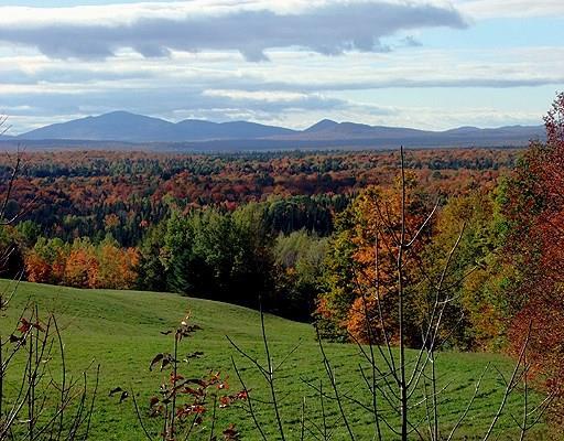 979 Dyer Brook Road Dyer Brook, ME 04747 - Photo 46 of 70 Photo