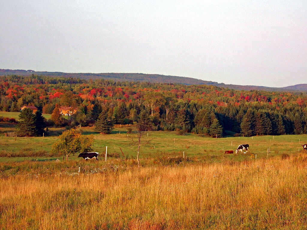 979 Dyer Brook Road Dyer Brook, ME 04747 - Photo 59 of 70 farm-land-pasture-dyer-broo