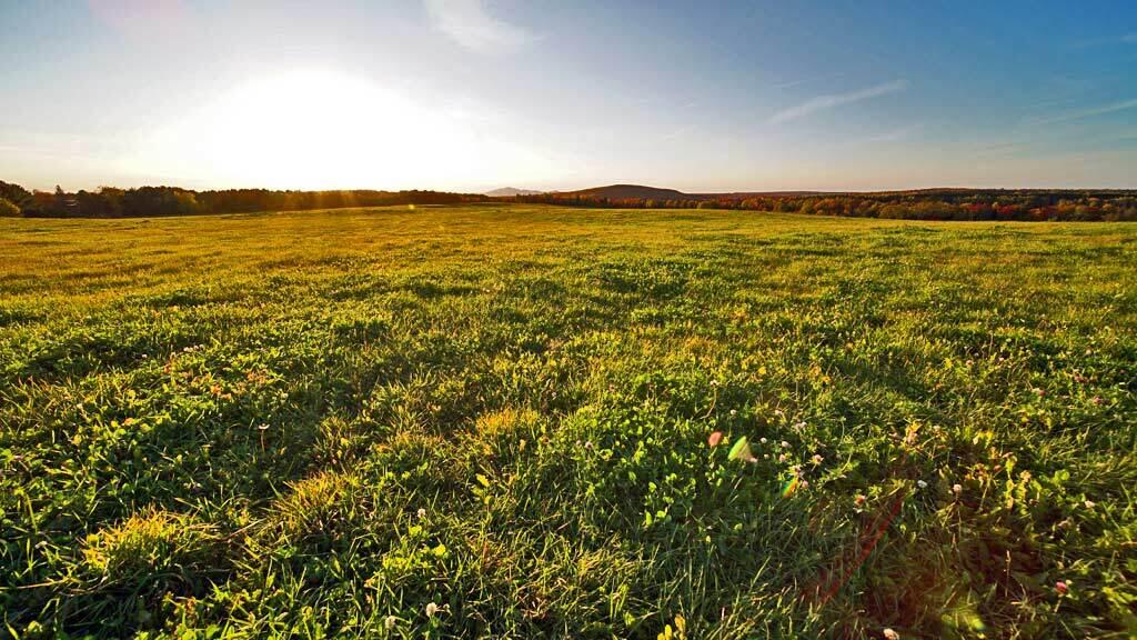 979 Dyer Brook Road Dyer Brook, ME 04747 - Photo 70 of 70 maine-farm-dyer-brook-21