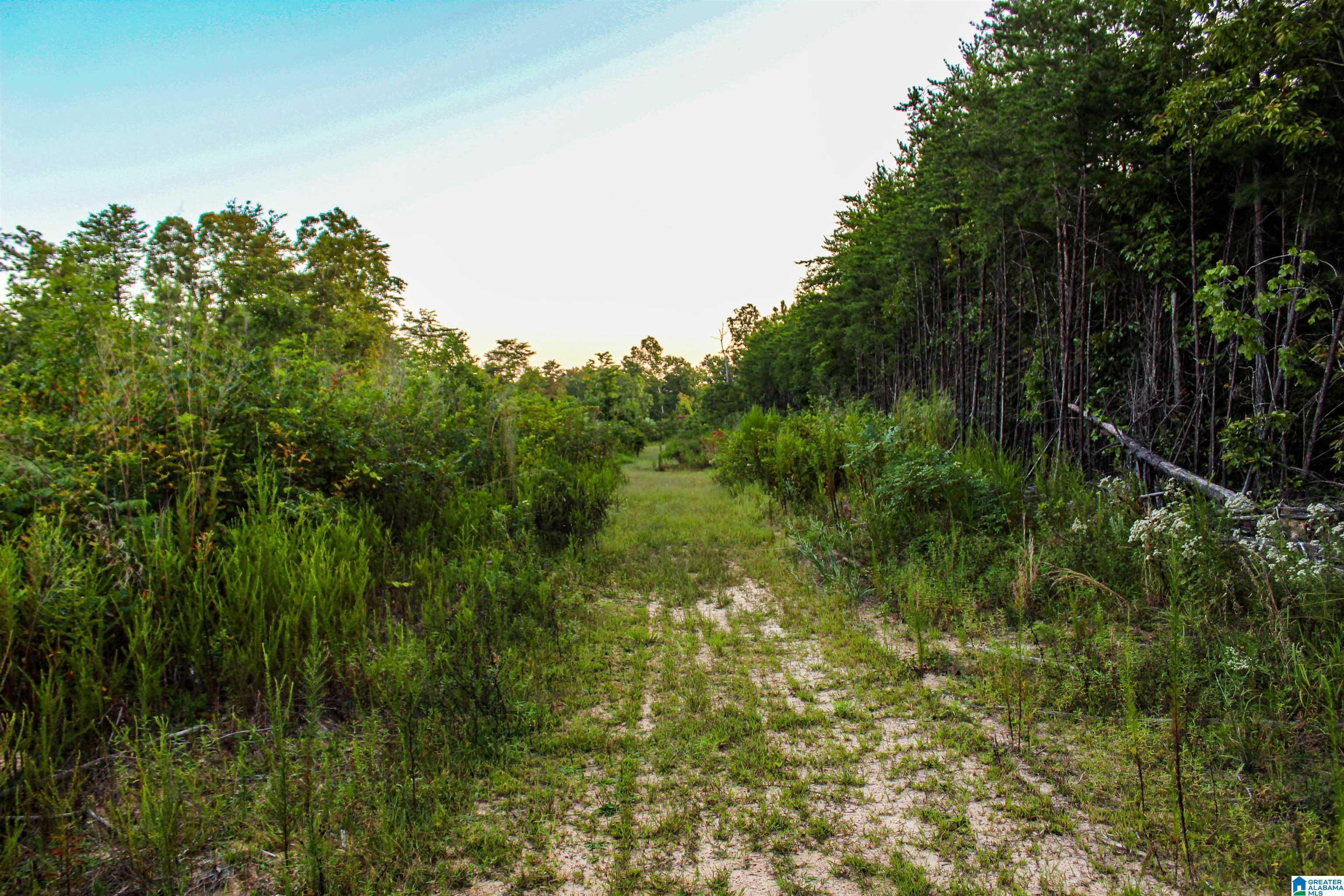 Bonner Drive, Unit 1 Berry, AL 35546 - Photo 34 of 56
