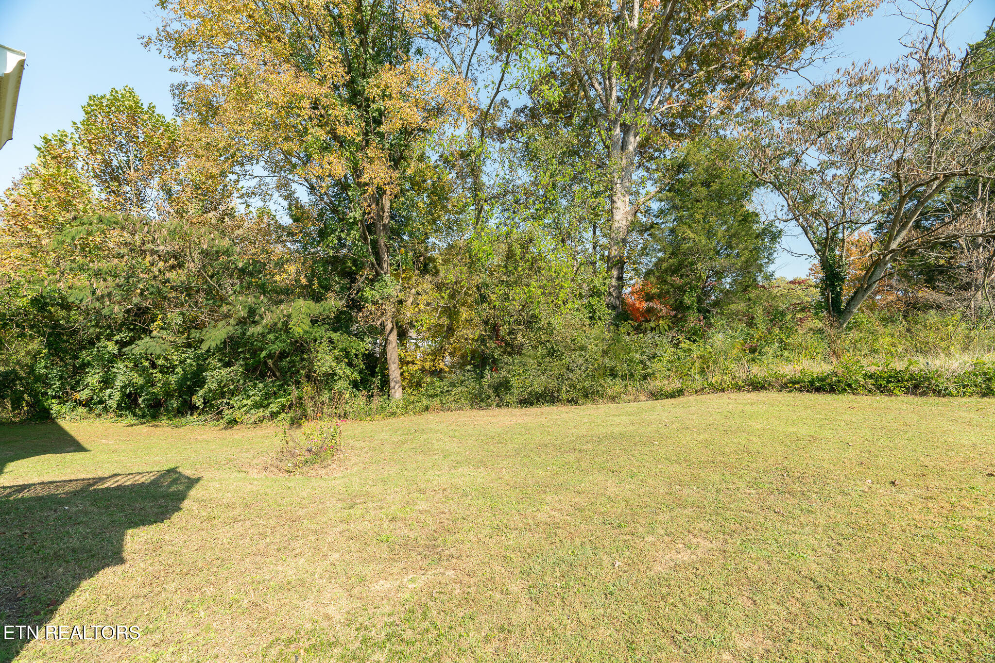 4516 Plummer Road Northeast Knoxville, TN 37918 - Photo 21 of 25 untitled-22