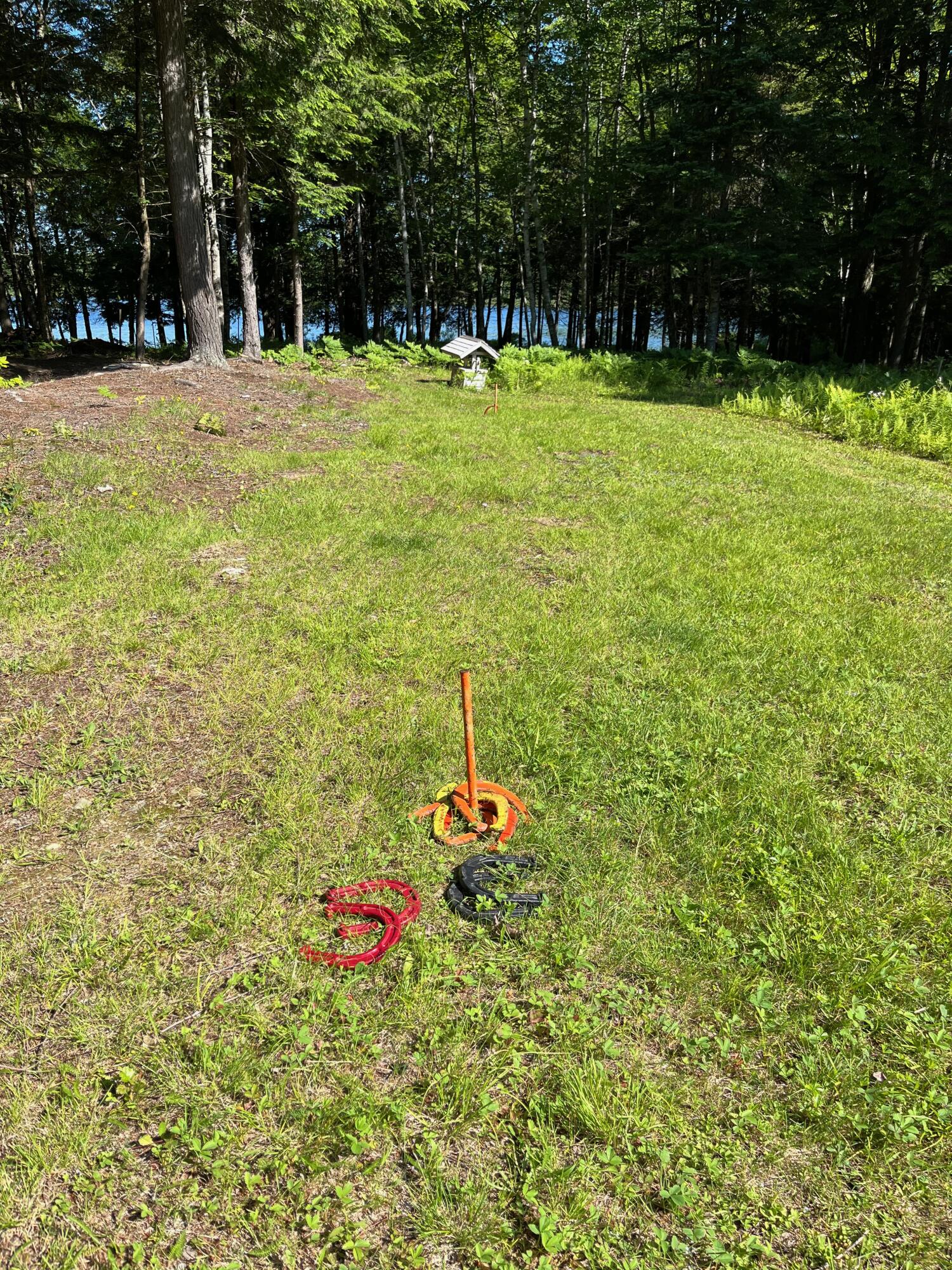 185 Durham Bridge Road Newport, ME 04953 - Photo 48 of 116 Horseshoes...