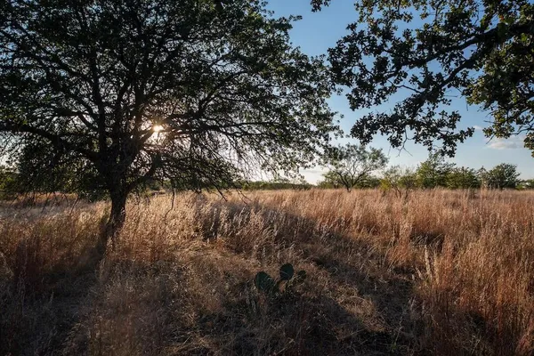 $1,413,000 | Undisclosed Address, Fredonia, TX 76842