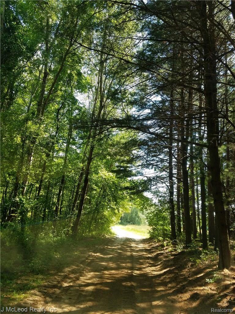 3660 Murphy Lake Road Millington, MI 48746 - Photo 22 of 44 2016-07-12 15.08