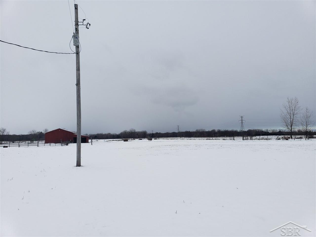 10016 Carter Road Freeland, MI 48623 - Photo 20 of 25 31365630-19.JPG