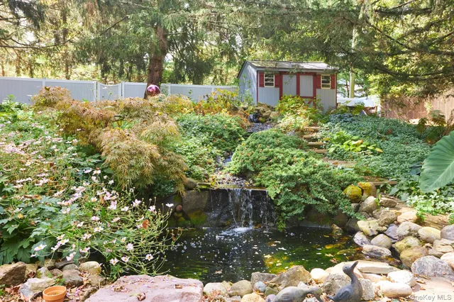 a view of a back yard