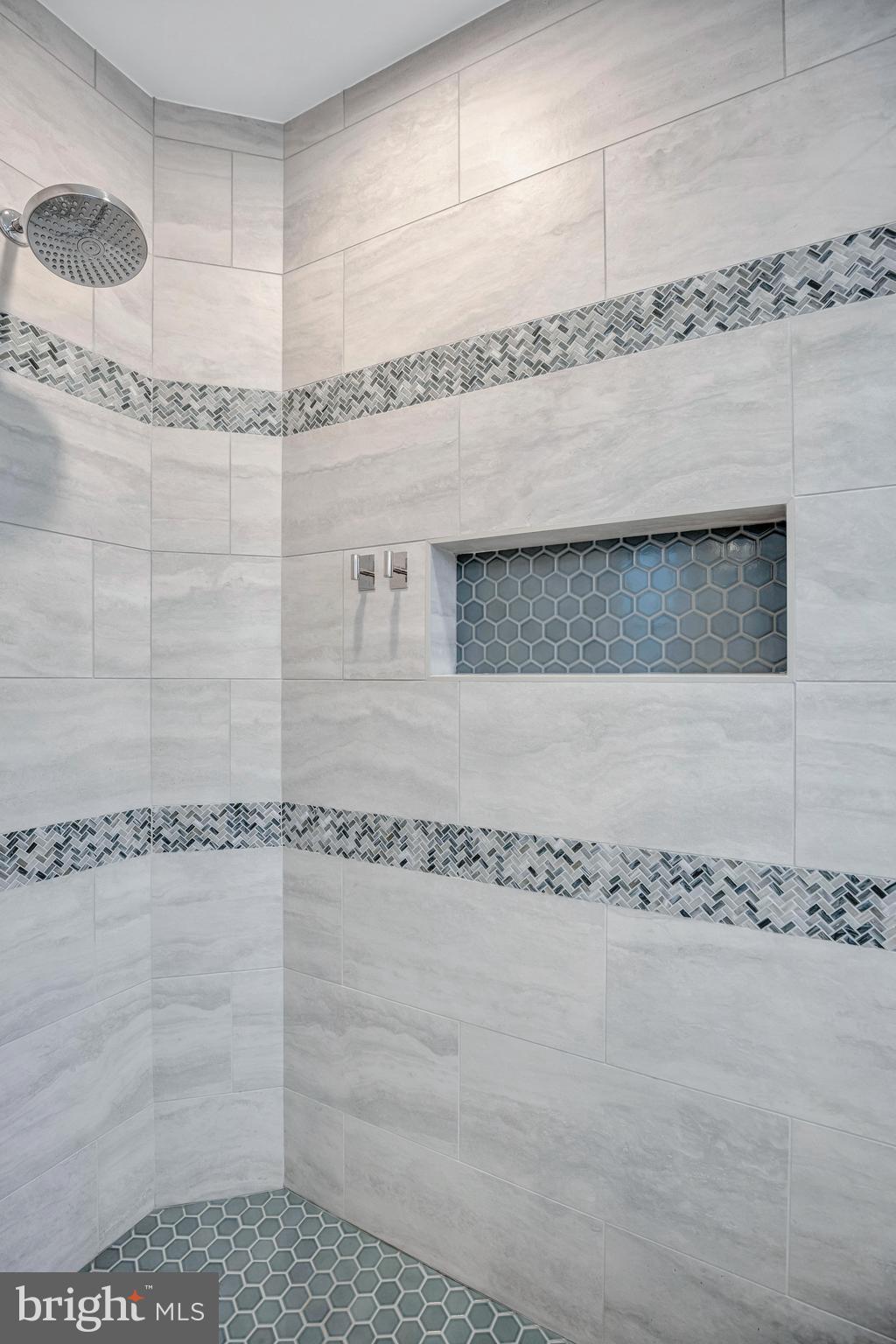 725 Carpenter Road Alexandria, VA 22314 - Photo 30 of 70 Large Rain Shower Head & Mosaic Tile Detailing