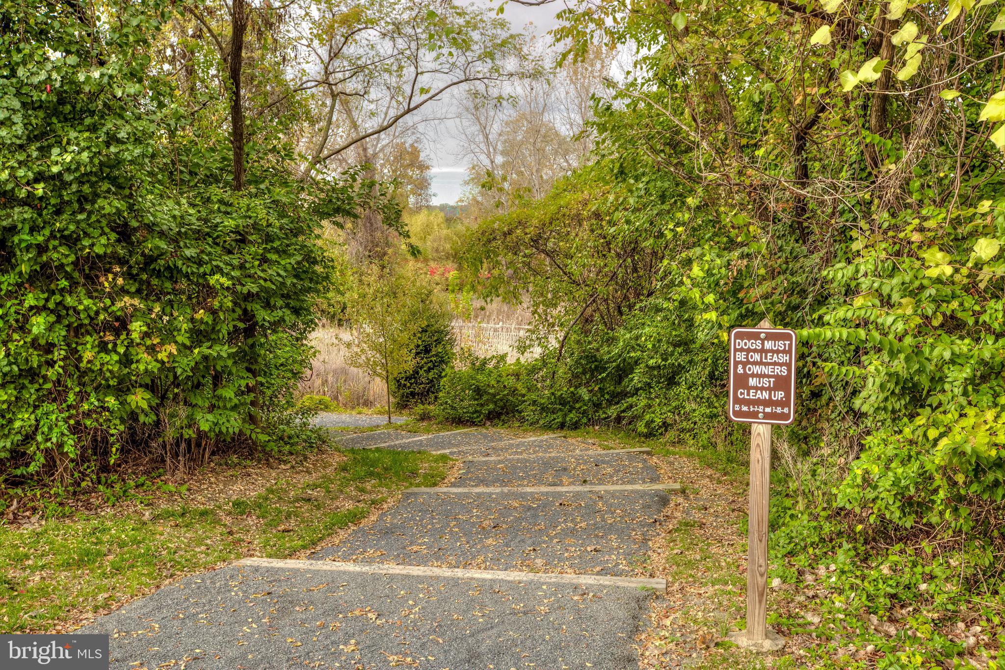 725 Carpenter Road Alexandria, VA 22314 - Photo 45 of 70 Nature Paths & Trails