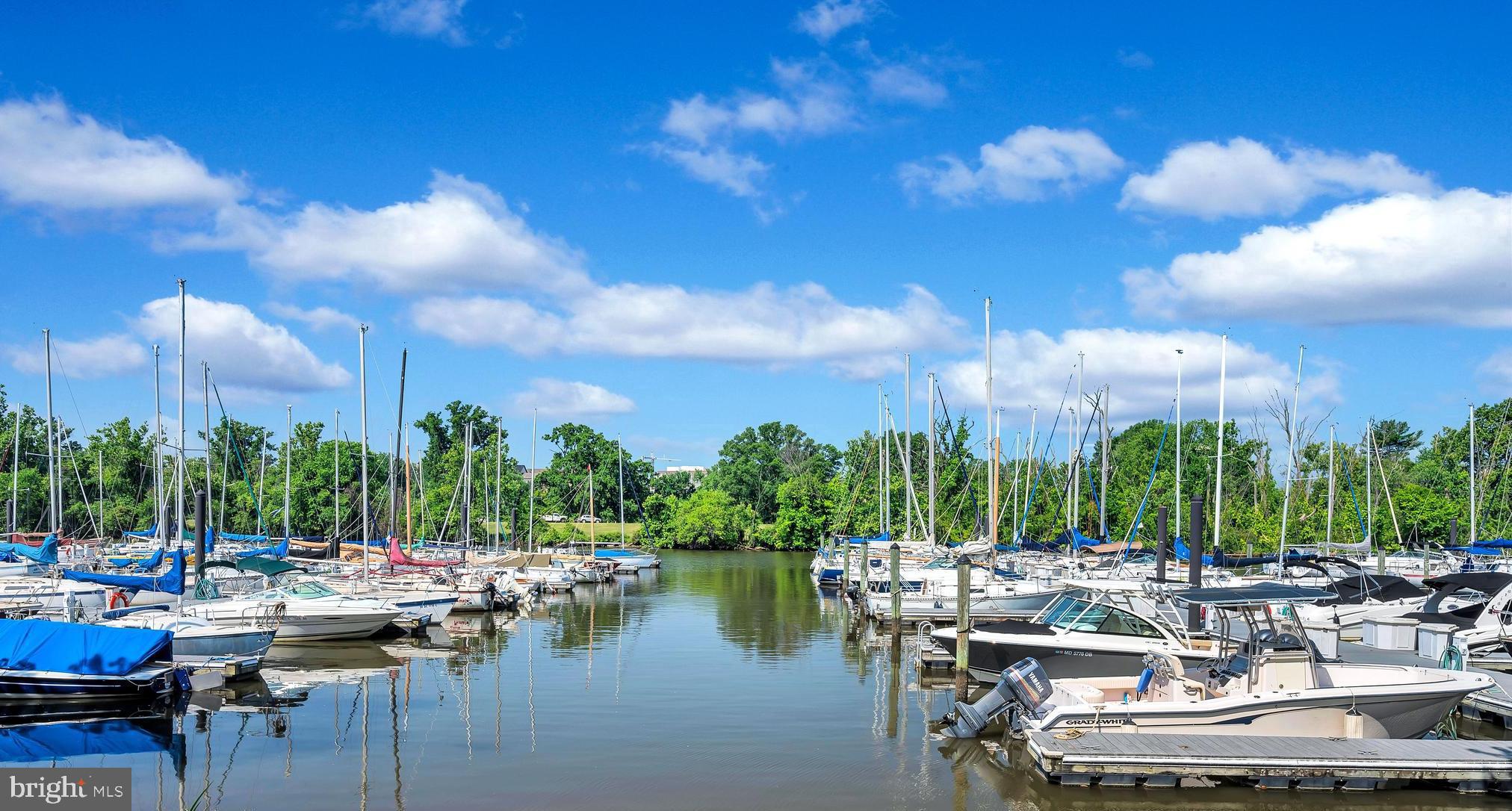 725 Carpenter Road Alexandria, VA 22314 - Photo 59 of 70 Daingerfield Island Marina