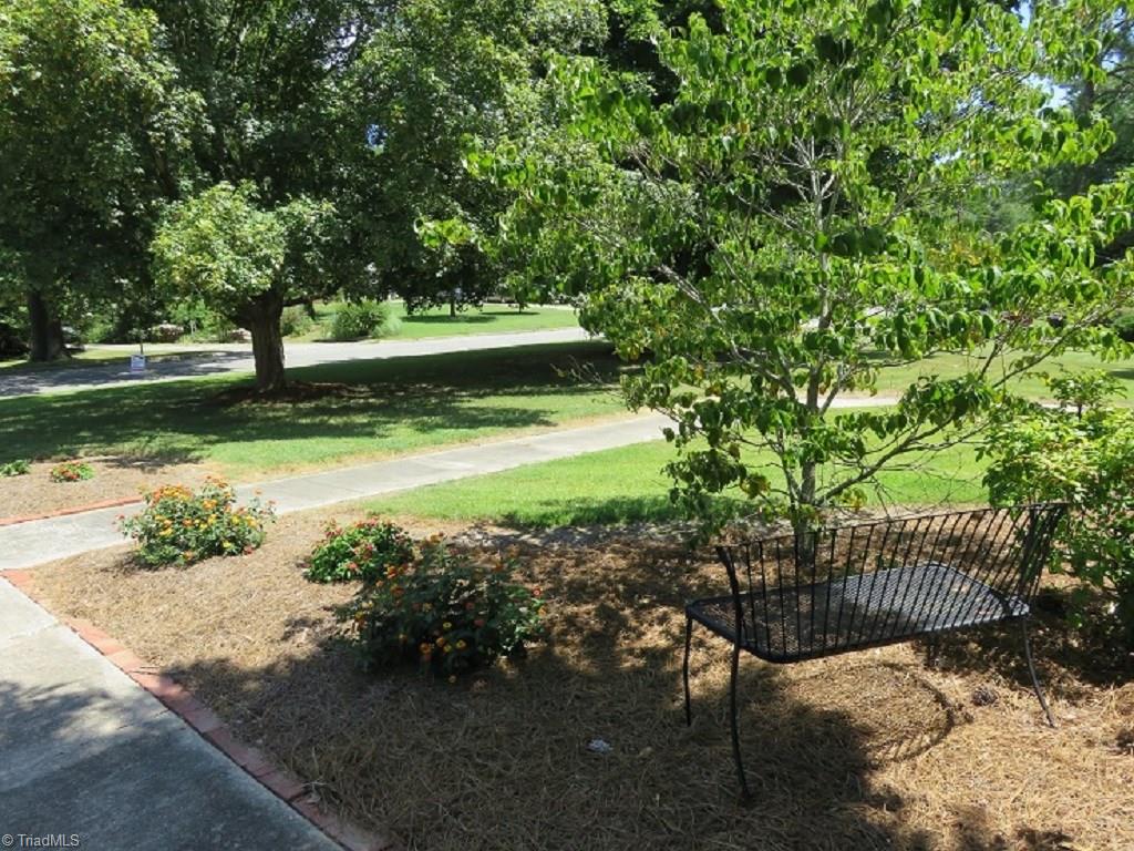 221 Pine Ridge Drive High Point, NC 27262 - Photo 22 of 25 Front yard view
