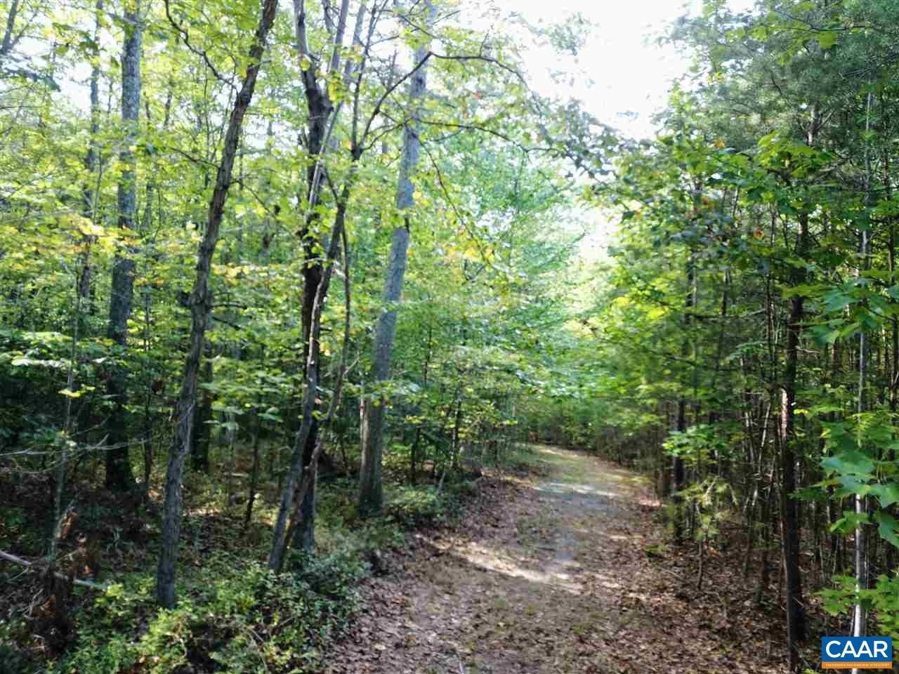 Tba Lot 2 Tba Route South Dillwyn, VA 23936 - Photo 5 of 39 Gallery Image 5