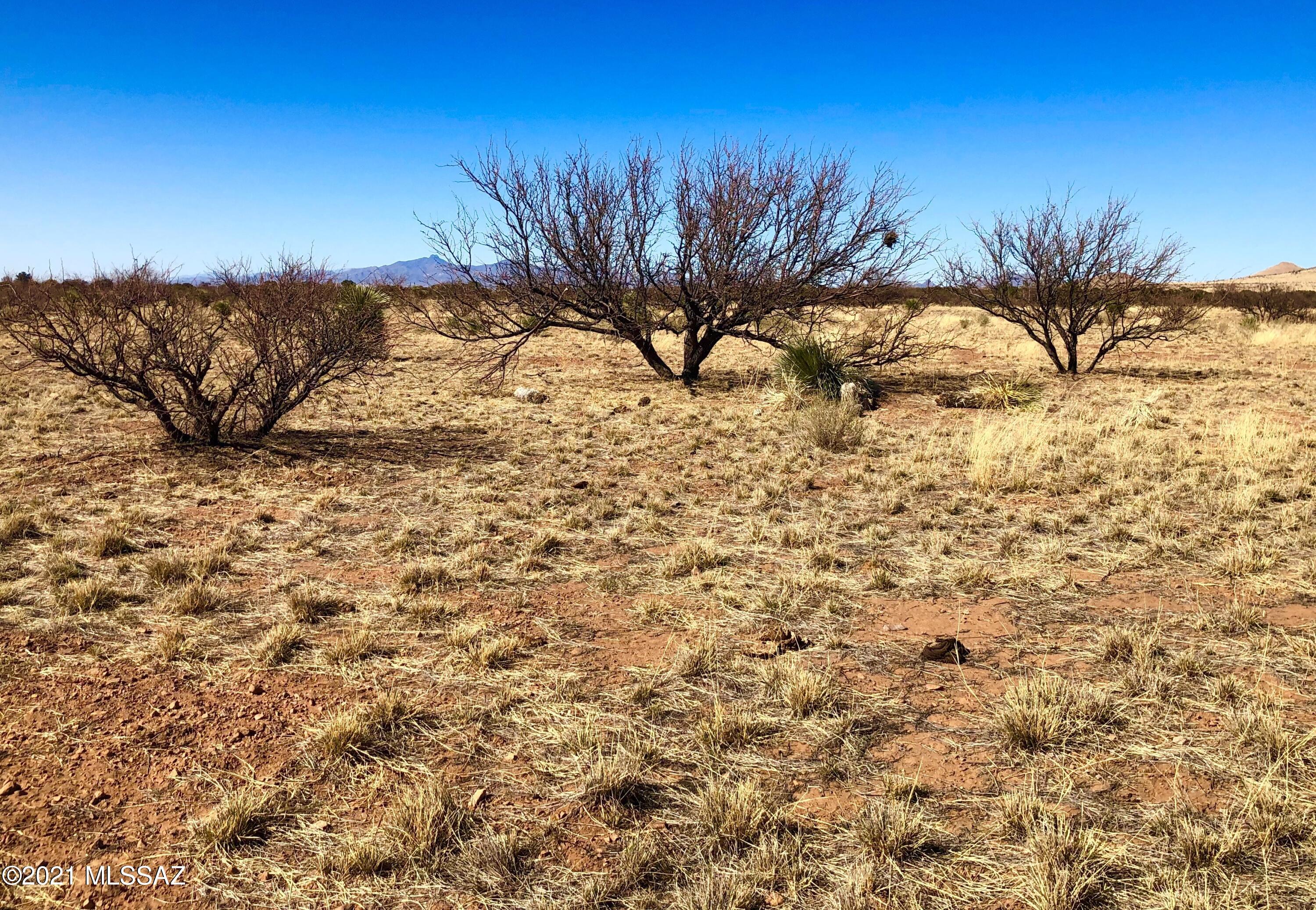 40.16 Ac Pearce, AZ 85625 - Photo 42 of 50
