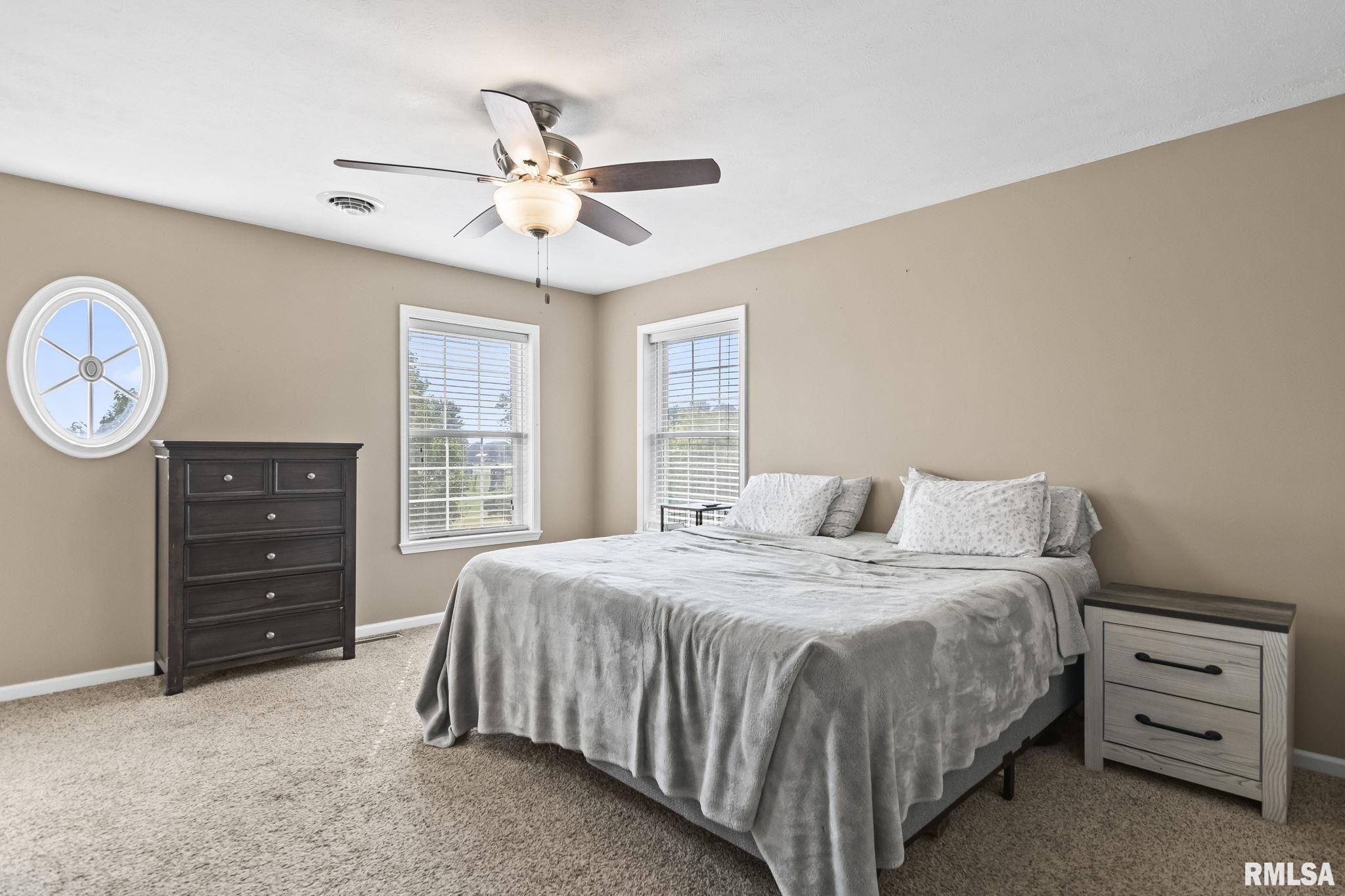 124 Candlestick Drive Chatham, IL 62629 - Photo 20 of 41