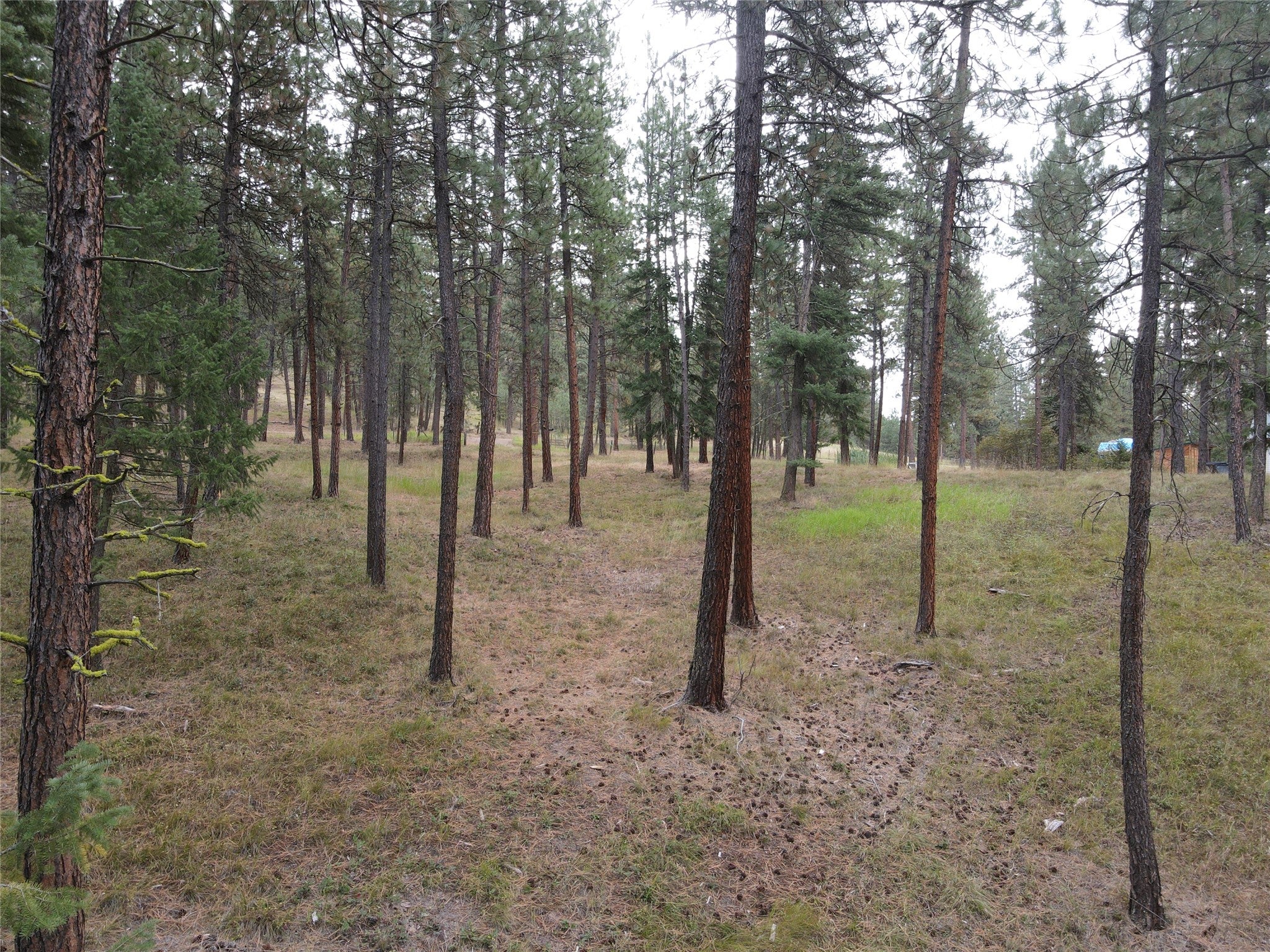 21481 9 Mile Road Huson, MT 59846 - Photo 24 of 43 Gallery Image 24