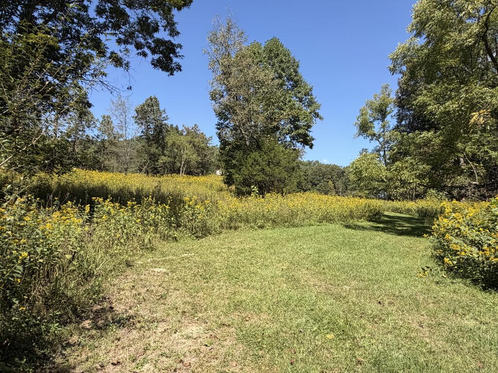 2443 Bruce Allen Road Hinton, WV 25951 - Photo 69 of 75 Gallery Image 69