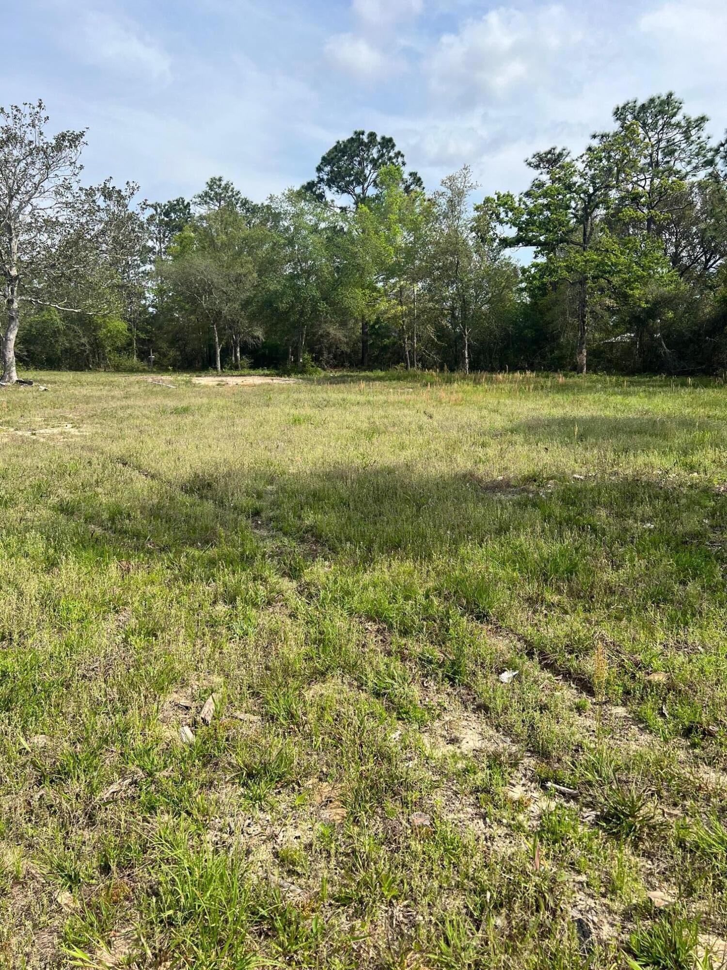 3393 King Lake Road DeFuniak Springs, FL 32433 - Photo 1 of 3 a view of a field with an trees in the background