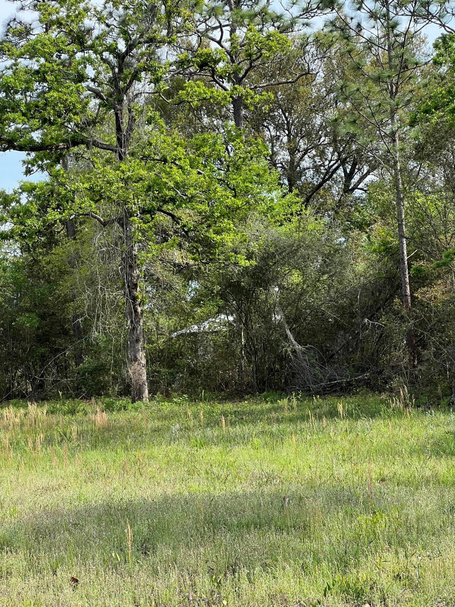 3393 King Lake Road DeFuniak Springs, FL 32433 - Photo 3 of 3 a view of outdoor space with a garden