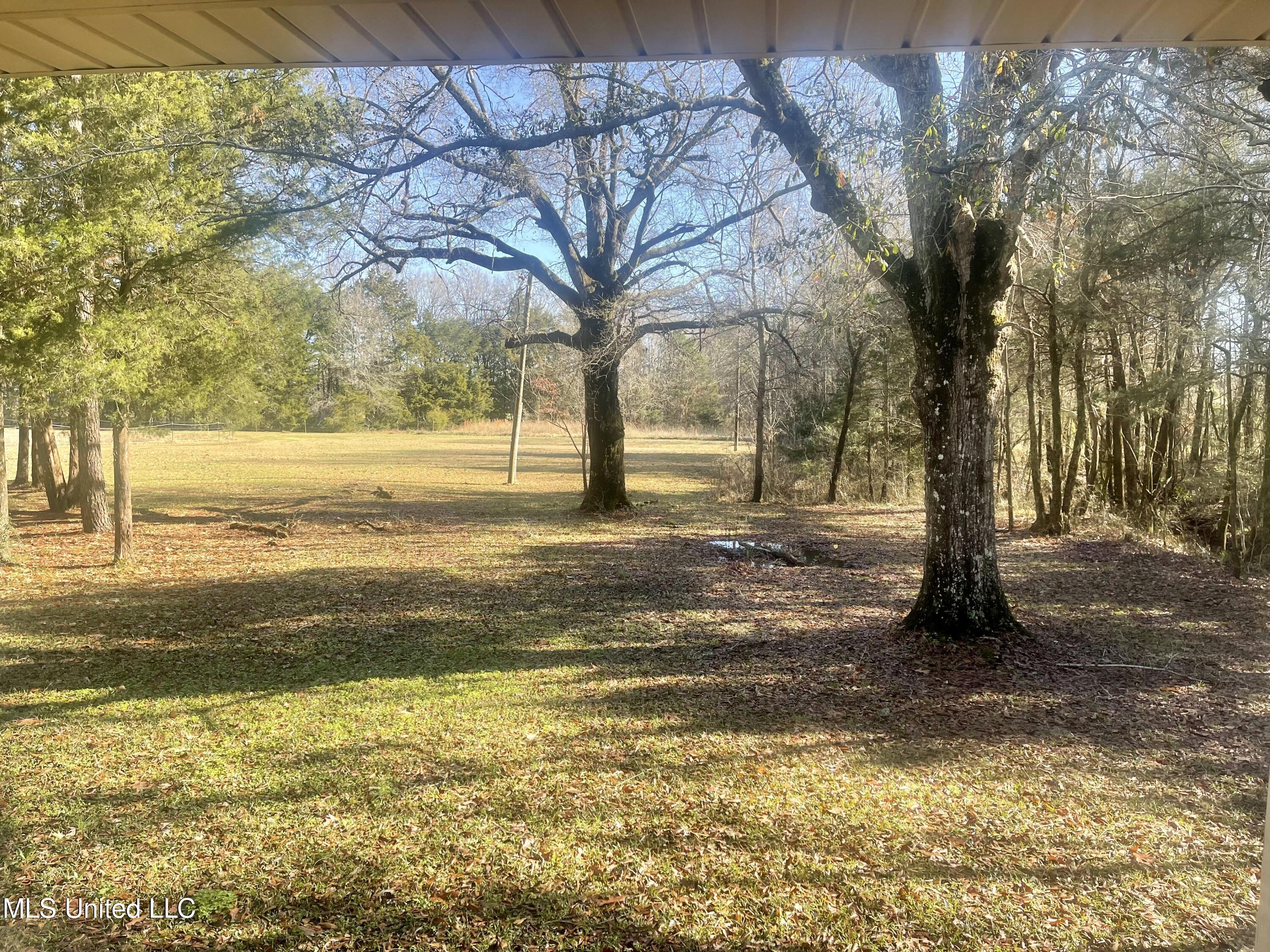 1234 Pea Ridge Road West Point, MS 39773 - Photo 14 of 47 E6F2739D-6AD4-4A41-B1A5-966972A4E353