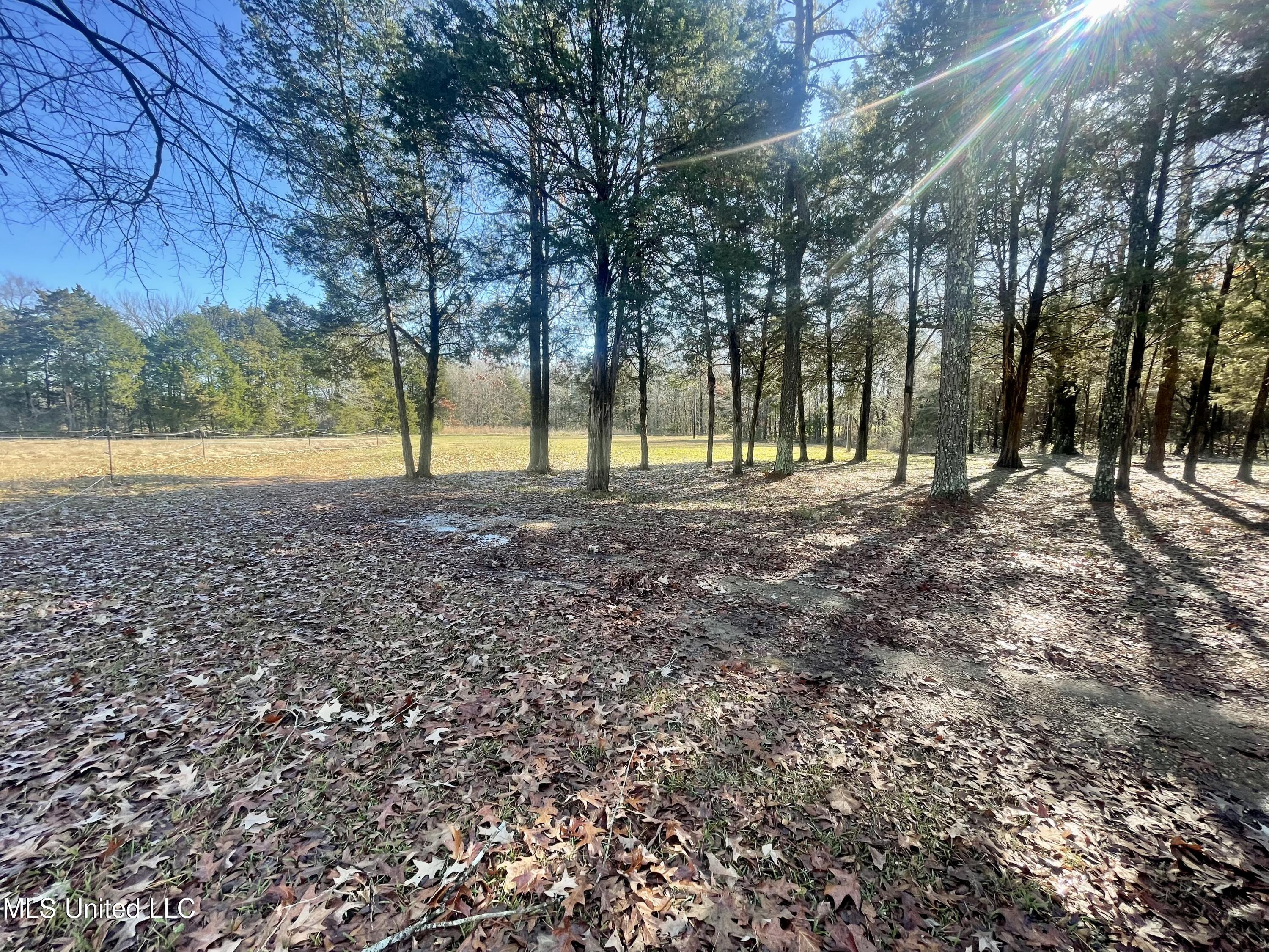 1234 Pea Ridge Road West Point, MS 39773 - Photo 17 of 47 643C5168-9D9B-45F7-A014-BAB8B14C6824