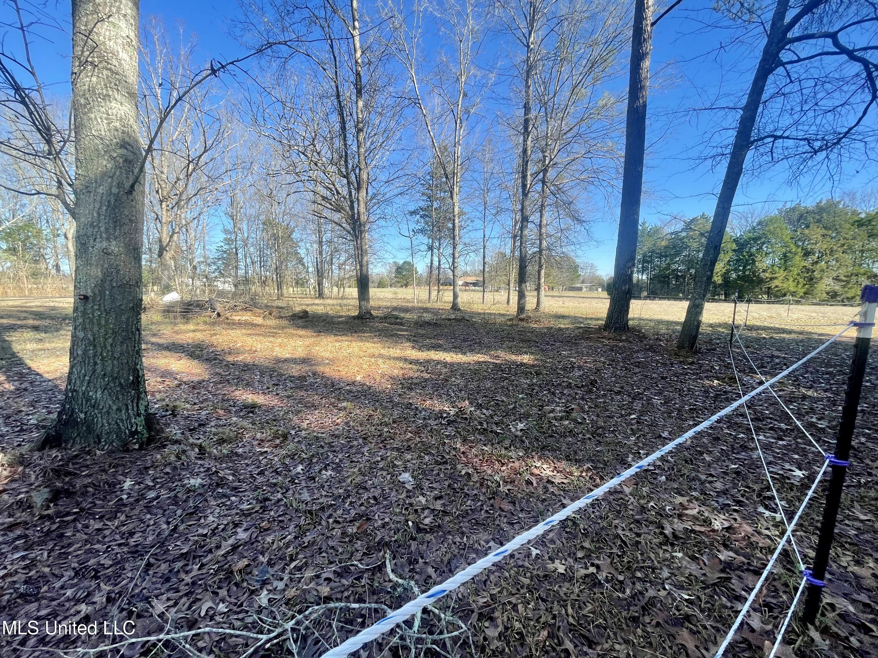 1234 Pea Ridge Road West Point, MS 39773 - Photo 20 of 47 DC6BF86C-F204-4277-B2C6-66E0D9FD7129