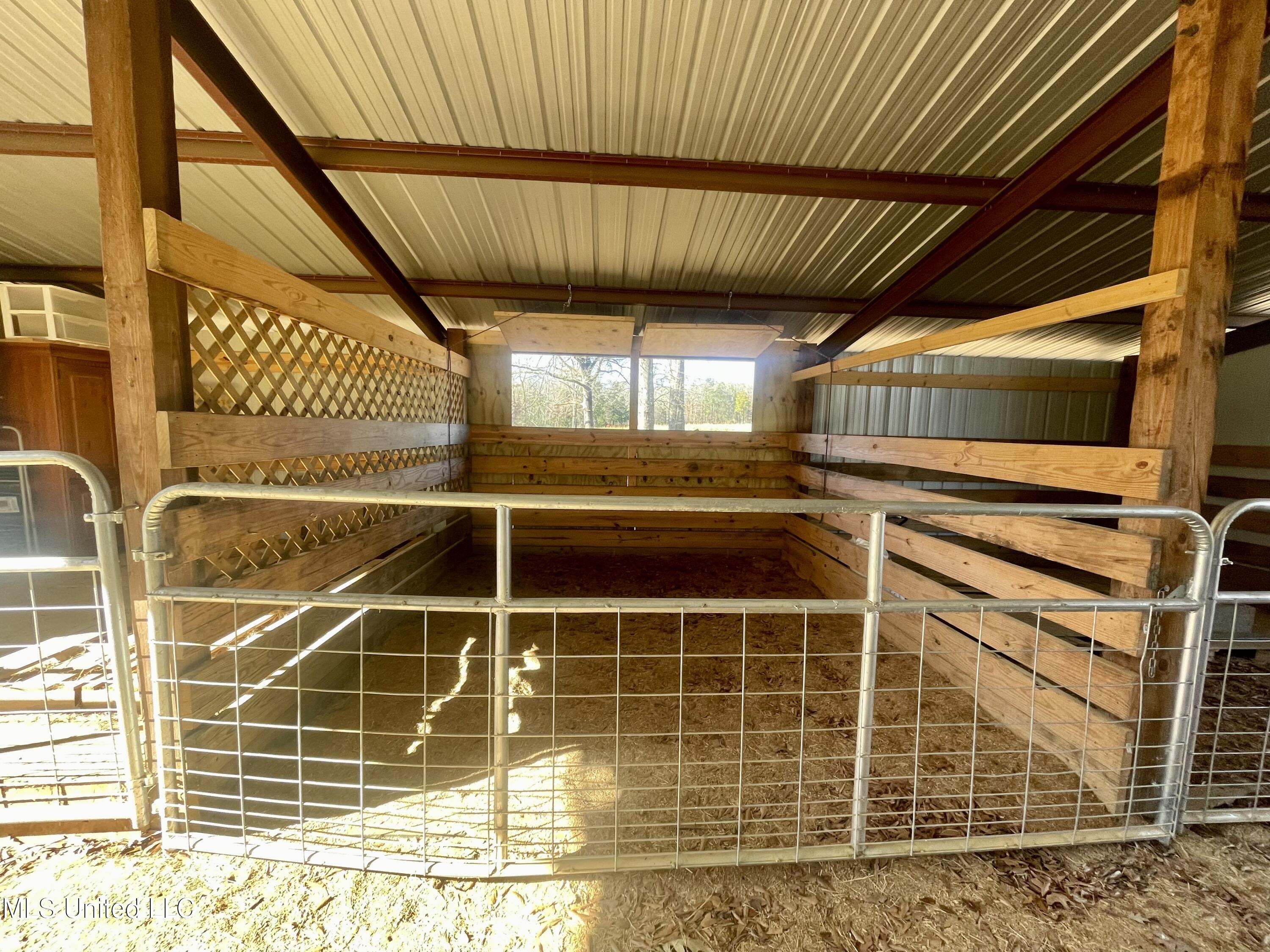 1234 Pea Ridge Road West Point, MS 39773 - Photo 5 of 47 0131656C-4562-4833-8416-ED685A971865