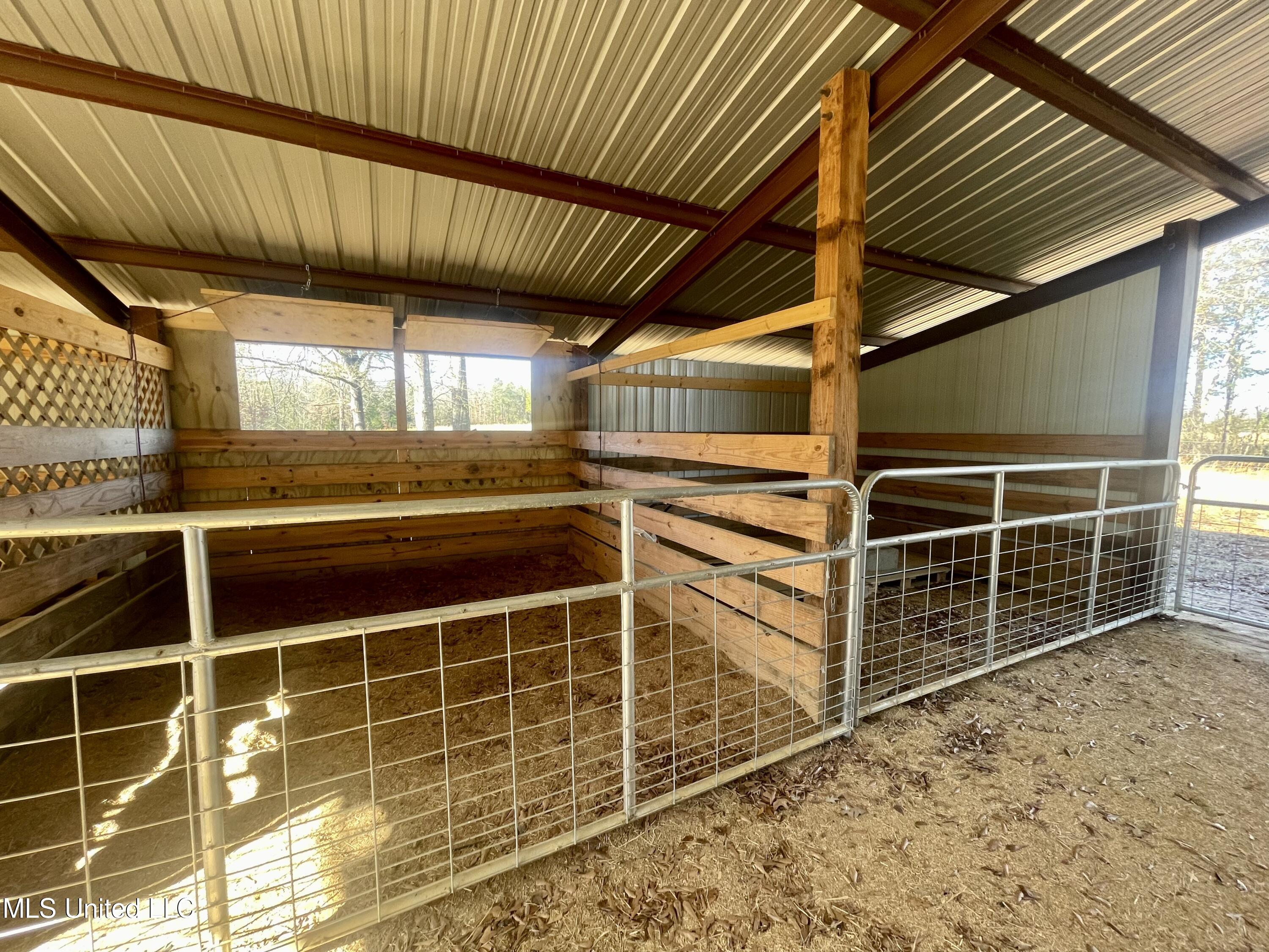 1234 Pea Ridge Road West Point, MS 39773 - Photo 6 of 47 444F2C83-E100-4CCB-AC04-A47477058550