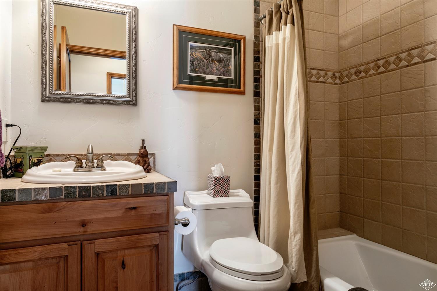160 Springfield Street Gypsum, CO 81637 - Photo 8 of 25 Additional Photo