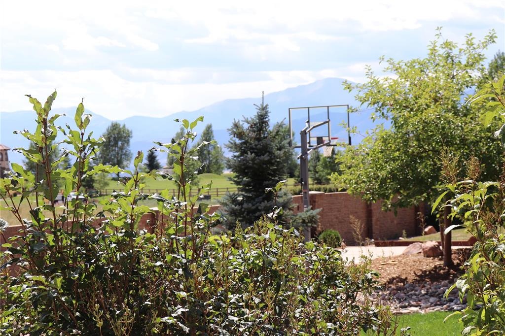 2473 Cinnabar Road Colorado Springs, CO 80921 - Photo 49 of 49