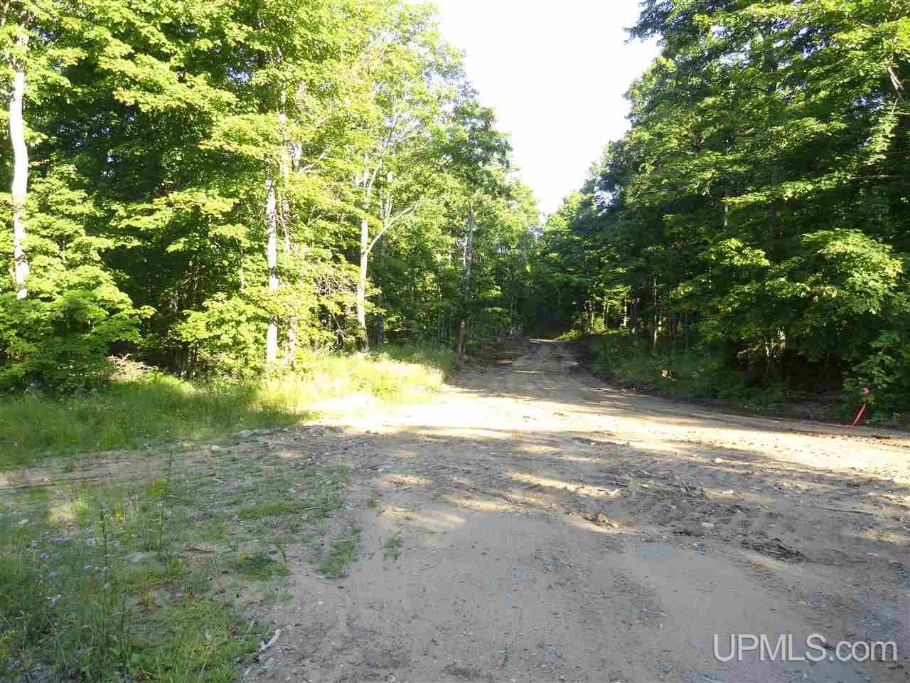 80 SOUTH Off Co Road Ishpeming, MI 49849 - Photo 17 of 20