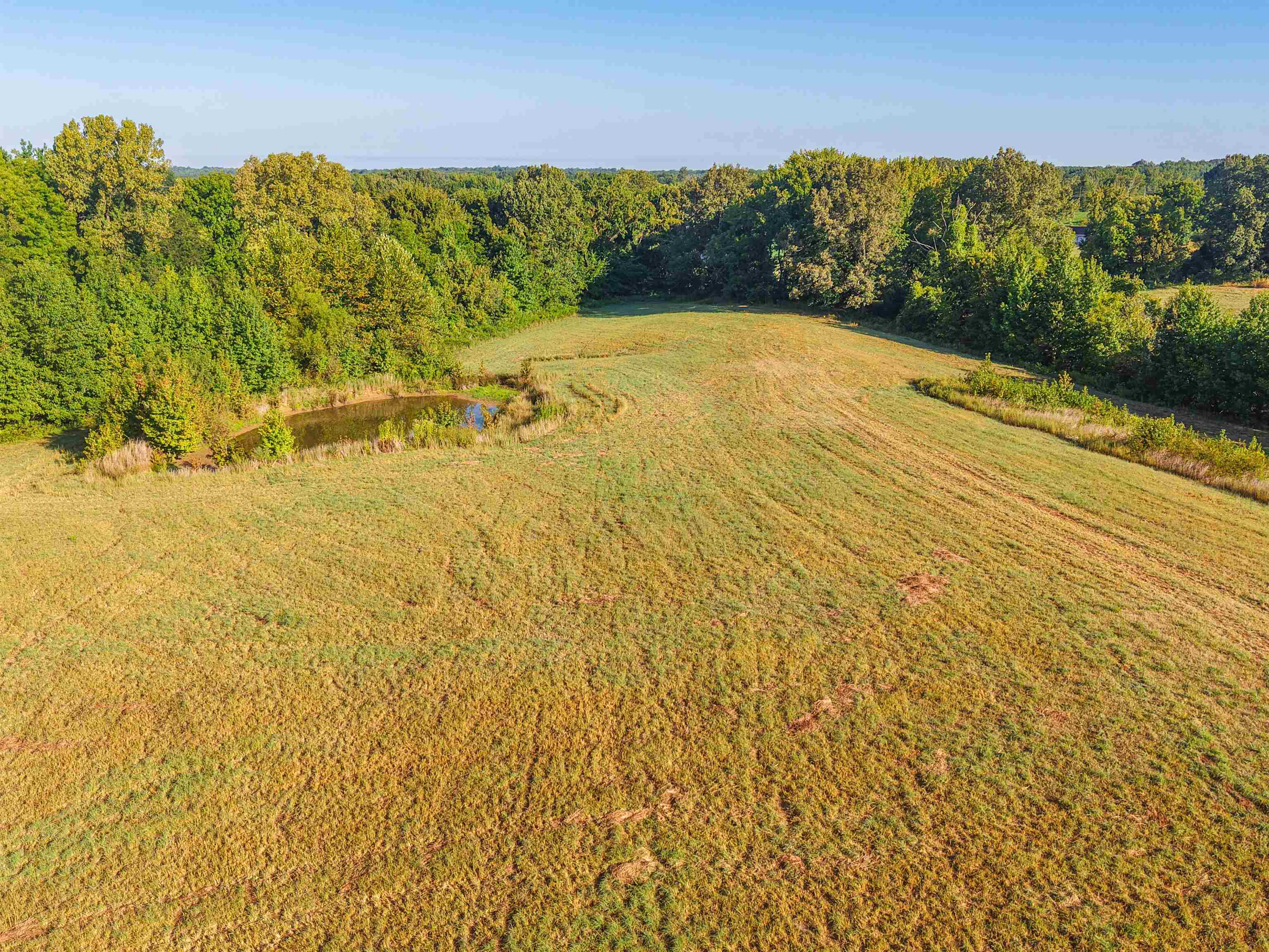 0 Bluebird Hill Road Ripley, TN 38063 - Photo 5 of 17 Aerial overview of property's location