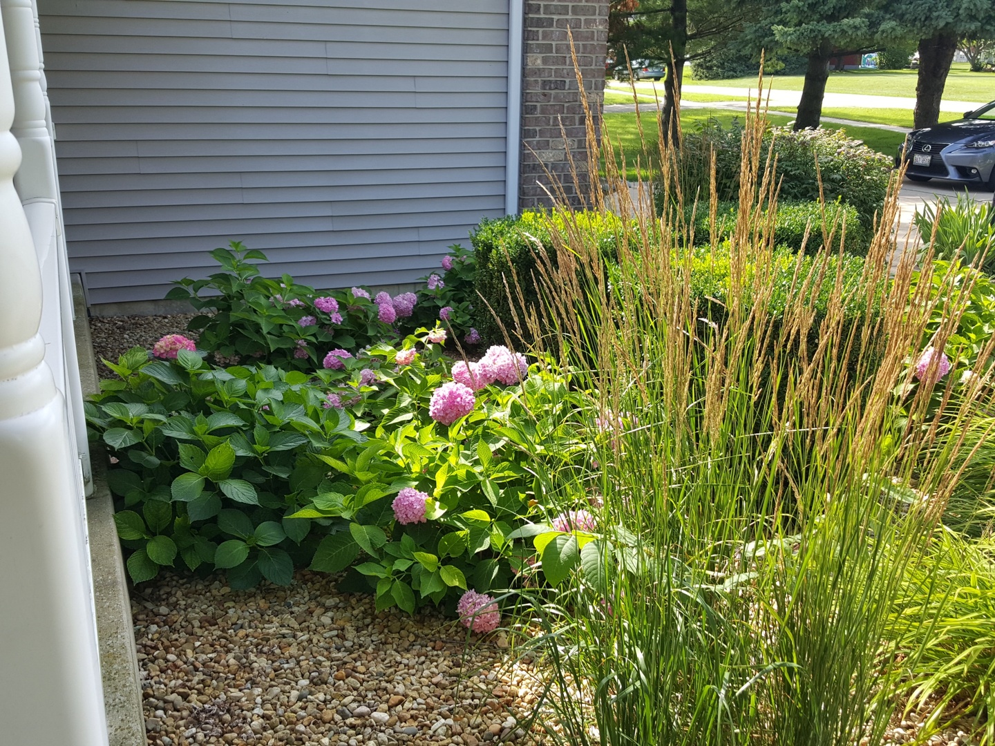 185 Chicago Road Paw Paw, IL 61353 - Photo 4 of 27