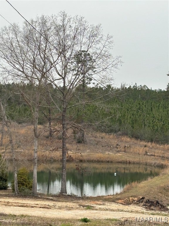 7841 Prestwood Bridge Road Andalusia, AL 36421 - Photo 2 of 22 Gallery Image 2