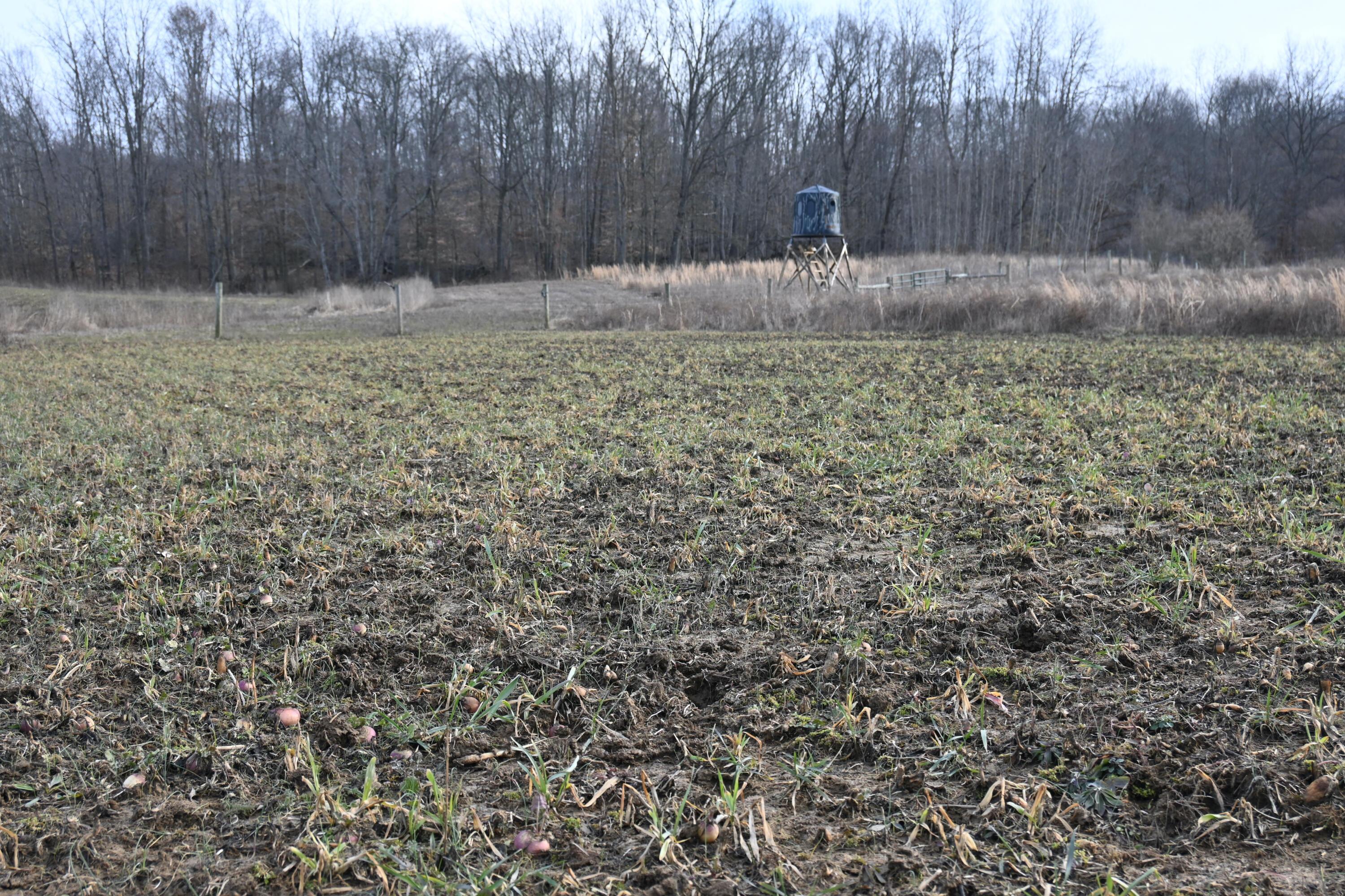 0 Meeksville Road McArthur, OH 45651 - Photo 6 of 6 DSC_0288 (1)