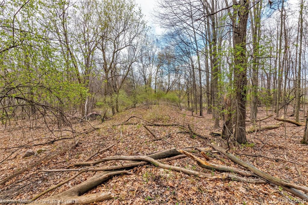 0 Kier Road Auburn Hills, MI 48326 - Photo 13 of 22