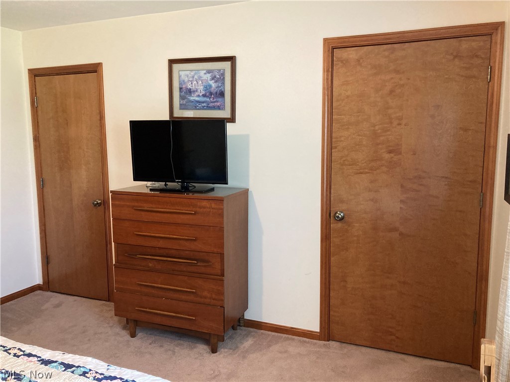 10370 Crow Road Litchfield, OH 44253 - Photo 18 of 39 Door on left leads to full bath w/double-wide shower & seating. Door on right is a spacious walk-in closet.