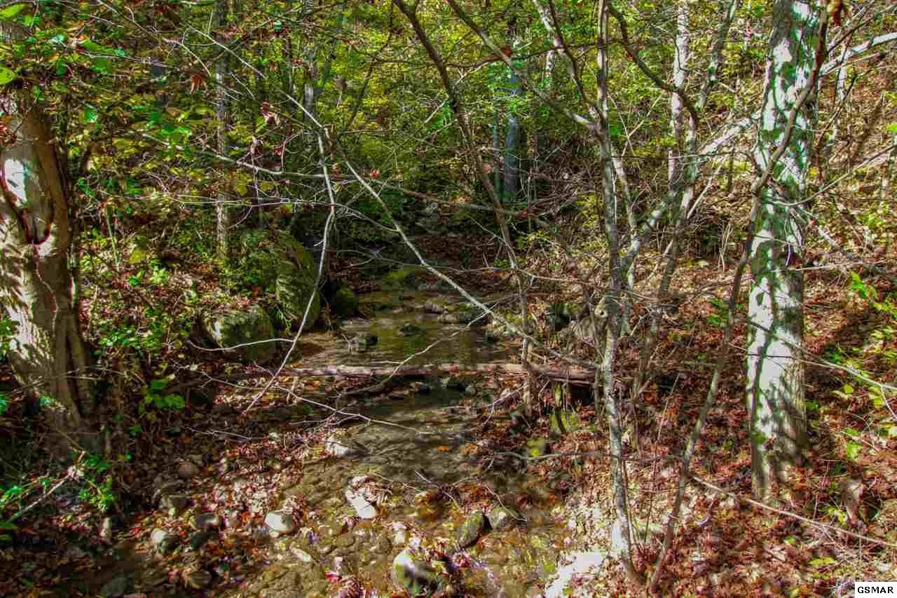 1 Bogard Crk Road Cosby, TN 37722 - Photo 12 of 28 Gallery Image 12