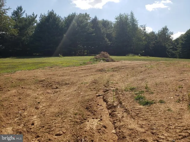 a view of swimming pool with a yard