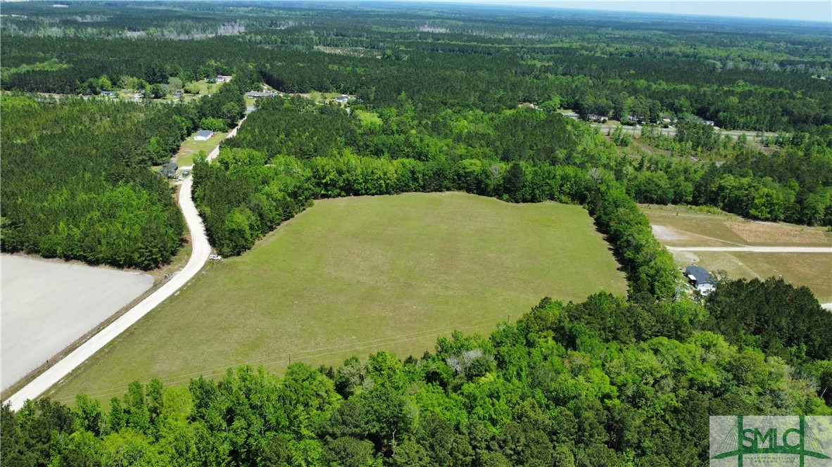 0 Pearl Davis Road Springfield, GA 31329 - Photo 1 of 4
