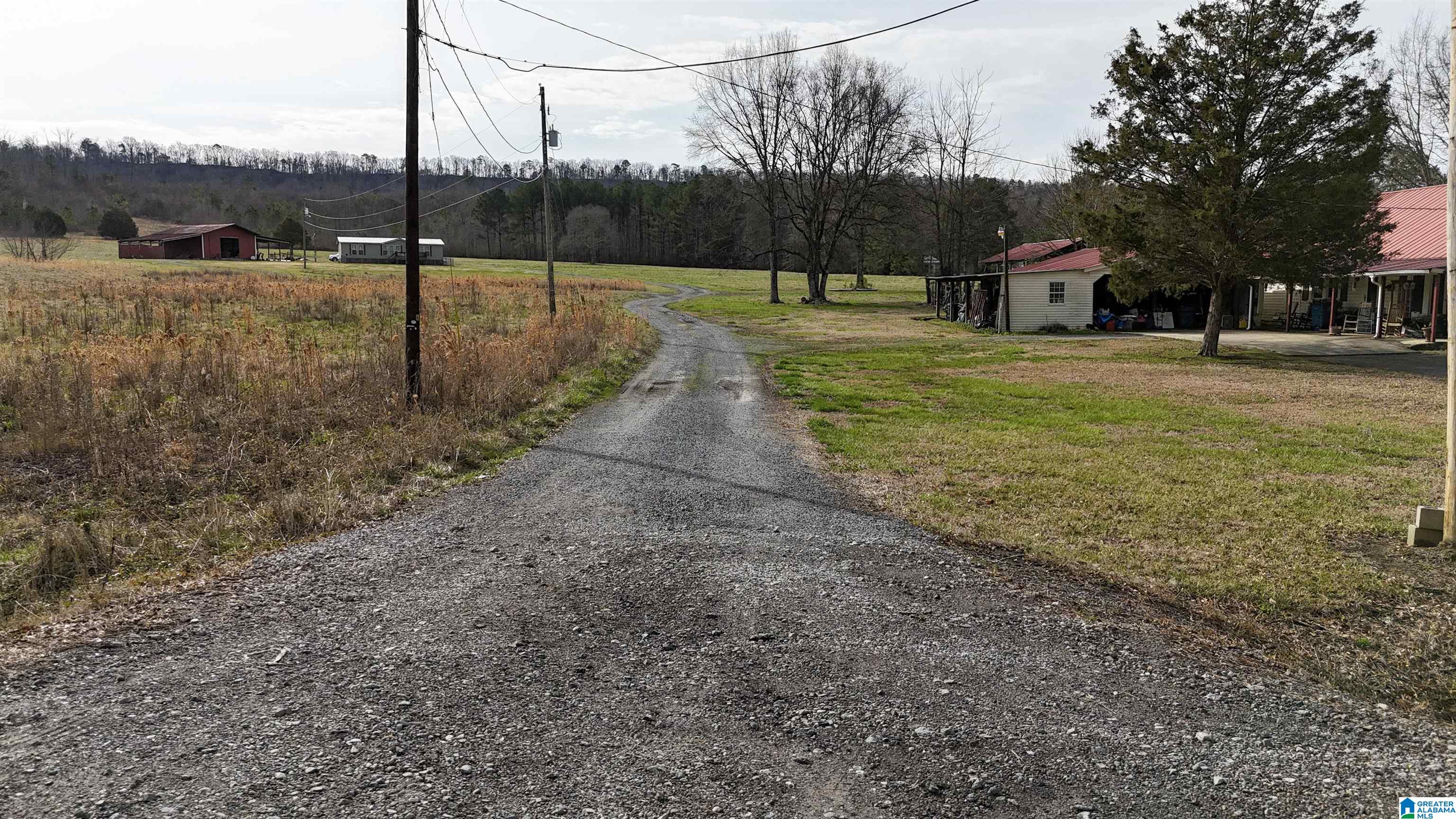 3410 Highway 132 Oneonta, AL 35121 - Photo 21 of 46