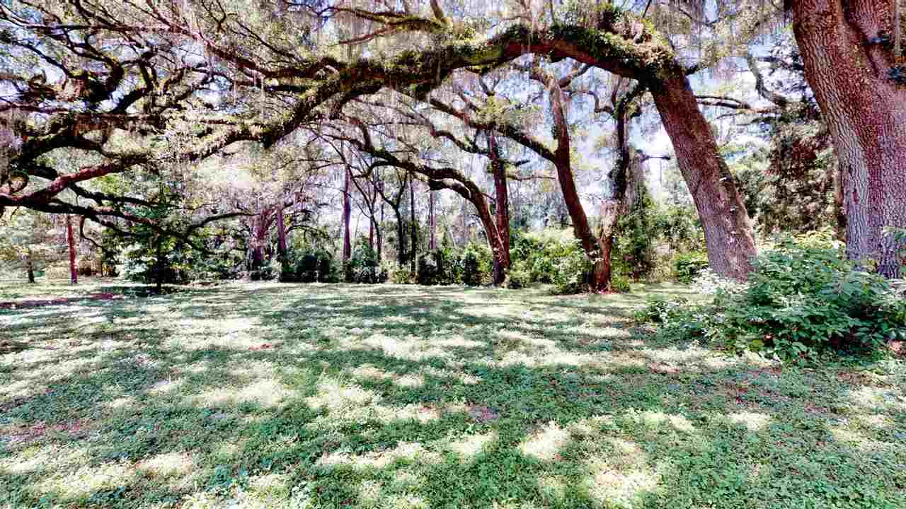 1525 St Thomas Church Road Madison County, FL 32340 - Photo 8 of 36 Gallery Image 8