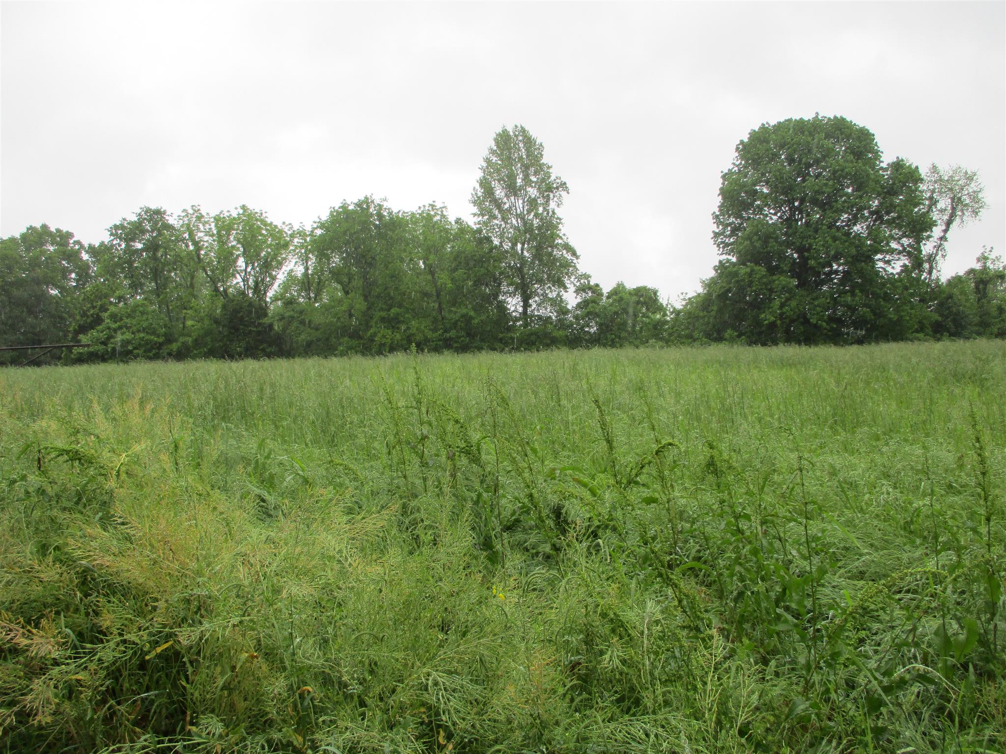 0 Jim Read Road Ashland City, TN 37015 - Photo 2 of 2 Gallery Image 2