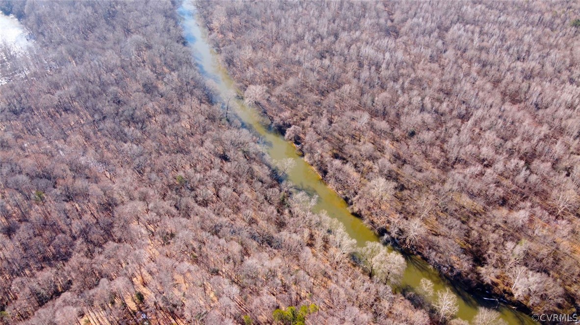 0 Dabney's Mill Road Manquin, VA 23106 - Photo 8 of 12 Gallery Image 8