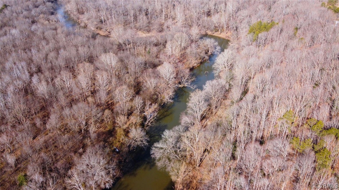 0 Dabney's Mill Road Manquin, VA 23106 - Photo 10 of 12 Gallery Image 10
