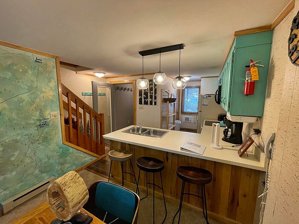 47 Powderidge Road, Unit 36 Snowshoe, WV 26209 - Photo 8 of 21 Gallery Image 8