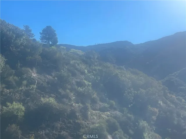 a view of a dry yard with mountains in the background