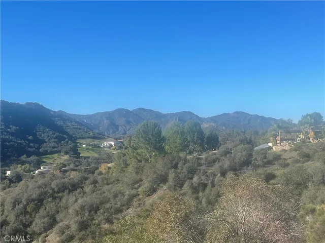 a view of a forest with mountains in the background