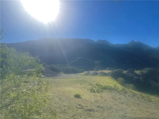 a view of a small yard