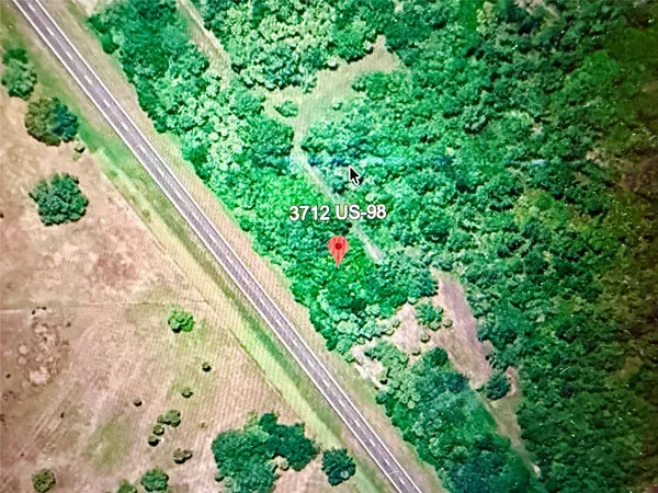a close up of plant in a garden